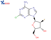 Clofarabine
