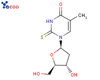 2-硫代-2'-脱氧胸苷
