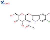 5-溴-4-氯-3-吲哚-N-乙酰-β-D-氨基葡萄糖苷
