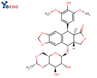 依托泊苷
