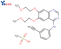 甲磺酸厄洛替尼
