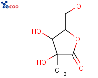 2-C-甲基-D-核糖酸-1,4-内酯
