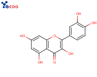 槲皮素
