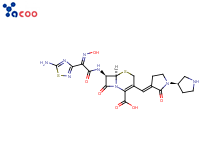 头孢托罗
