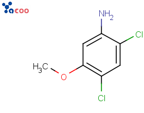 2,4-二氯-5-甲氧基苯胺