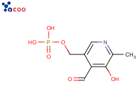 磷酸吡哆醛（无水）
