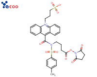 吖啶盐(NSP-SA-NHS) 
