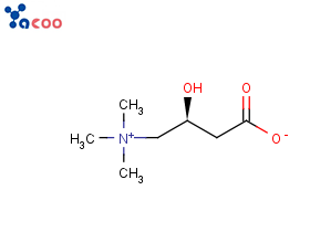D-肉碱
