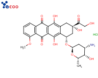 阿霉素盐酸盐
