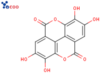 ELLAGIC ACID
