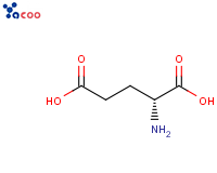 D-谷氨酸
