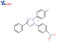 Iodonitrotetrazolium chloride 
