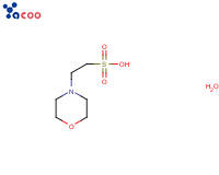 2-(N-吗啉)乙磺酸一水合物( MES·H2O）
