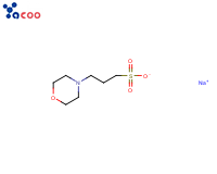 3-(N-吗啉基)丙磺酸钠盐(MOPS-Na) 
