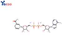 Beta-Nicotinamide adenine dinucleotide disodium salt
