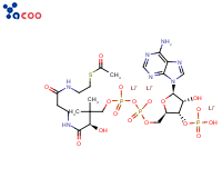 乙酰基辅酶 A三锂盐
