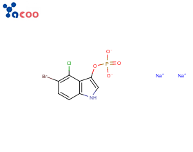 5-溴-4-氯-3-吲哚磷酸二钠盐
（BCIP-2Na）