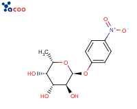 p-Nitrophenyl -a-L-Fucopyranoside

