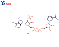 beta-Nicotinamide adenine dinucleotide phosphate disodium salt
