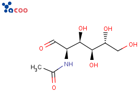 N-乙酰氨基葡萄糖  