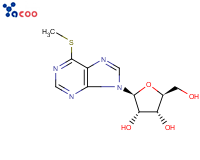 核糖苷6-甲基巯基嘌呤
