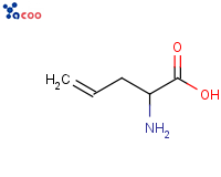 DL-烯丙基甘氨酸
